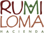 logo-rumiloma-grande